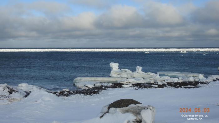Weather and sea-ice conditions in Gambell. Photo courtesy of Clarence Irrigoo, Jr.