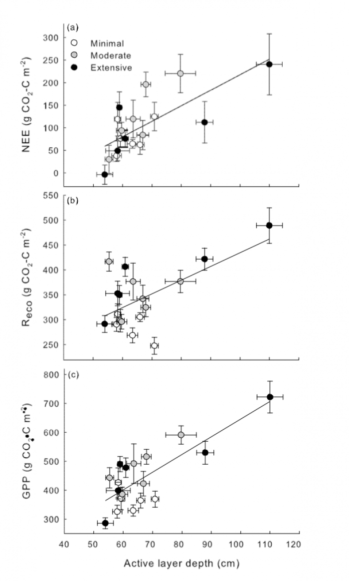 Figure 3. Effects of thaw (increased active layer thickness) on growing season net ecosystem carbon exchange (NEE) at the Permafrost Thaw Gradient. Positive NEE shows that plant carbon uptake responds to permafrost thaw more strongly than respiration carbon losses and the ecosystem is storing atmospheric carbon in the summer. However, in winter when plants are dormant but soil microbial processes continue, carbon losses offset summer gains such that the ecosystem appears to lose carbon when accounting for th
