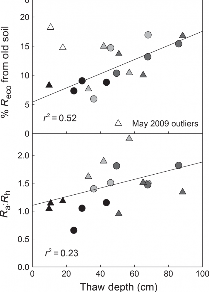 Figure 4. Relationship between increasing thaw depth and old carbon in ecosystem respiration at the Permafrost Thaw Gradient. Image courtesy of Hicks-Pries et al.