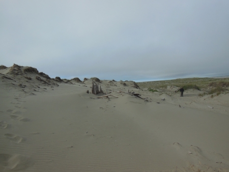 Figure 4. Historic structure eroded by wind and exposed in active dune system.  Photo by Shelby Anderson 2013.