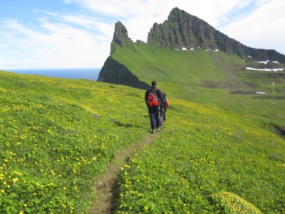 Figure 2. The Hornstrandir Nature Reserve in Westfjords, Iceland is increasingly popular as a nature tourist destination. Photo courtesy of Juliann Schamel.
