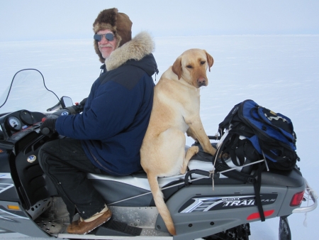 A favorite field assistant accompanies Brendan P. Kelly, whose research career has spanned three decades and included studies of Arctic marine mammals, their sea ice environment, and the cultural significance of the ecosystem to indigenous communities. Photo courtesy: Melanie Duchin.