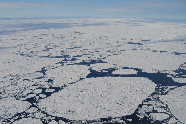 Figure 1. An areal view of loose Arctic pack ice in summer (August 2004) with open water patches, floe edges and ridges. Image courtesy of Torge Martin.
