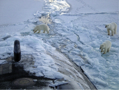 Figure 1: Polar bears investigate a U.S. Navy submarine that has just emerged through a lead in the Arctic sea ice. Image courtesy of U.S. Navy Arctic Submarine Laboratory.