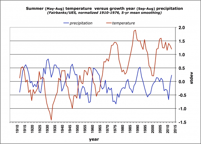Figure 5: Summer temperature and annual precipitation (smoothed as 5-year running mean) at Fairbanks Experiment Station (1906-1948) and Fairbanks International Airport (1949-present). Interior Alaska white spruce grows best in periods of cool summer temperatures and high annual precipitation. Summer temperatures have become markedly warmer since the 1970s, while precipitation has slightly declined. (Data have been normalized to the mean of 1906-76 and are expressed as departures from the mean in units of st