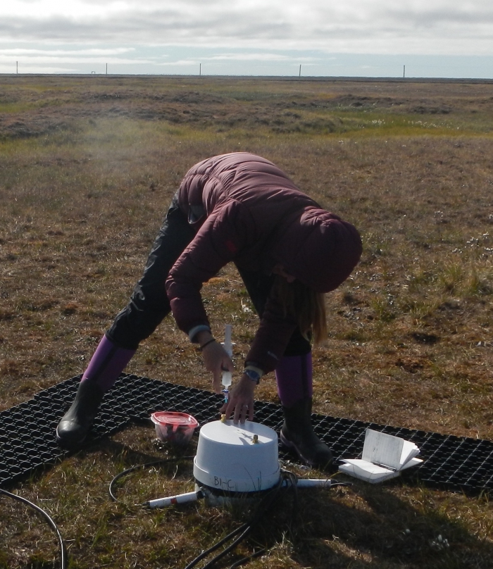 Lydia Smith collects gas samples to measure 13C of ecosystem respiration. Photo courtesy of Oriana Chafe.