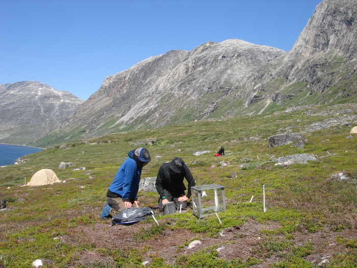 Figure 3: Field work in the Nuuk area, Greenland. Researchers collect ongoing gas exchange measurement. Photo courtesy of Magnus Kramshøj.