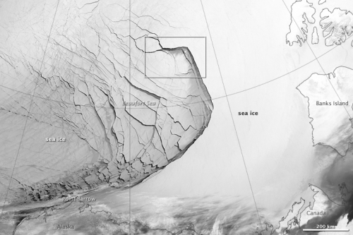 Figure 4. Sea ice fracture 23 February 2013 in the Beaufort Sea  (NASA).
