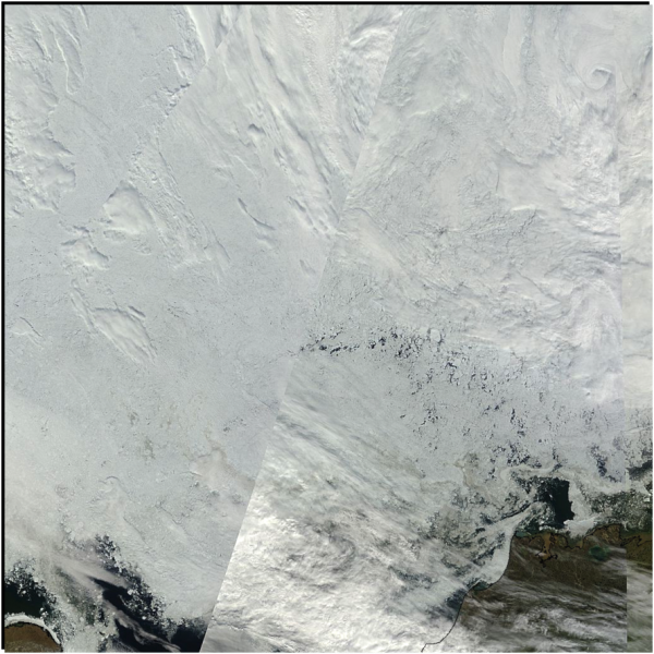 Figure 8. Visible true color mosaic of the Beaufort/Chukchi region near Barrow, Alaska, for 15 July from the NASA MODIS sensor. Barrow, Alaska is the point of land in the lower right corner of the image. North is roughly in the direction of the upper right corner of the image.