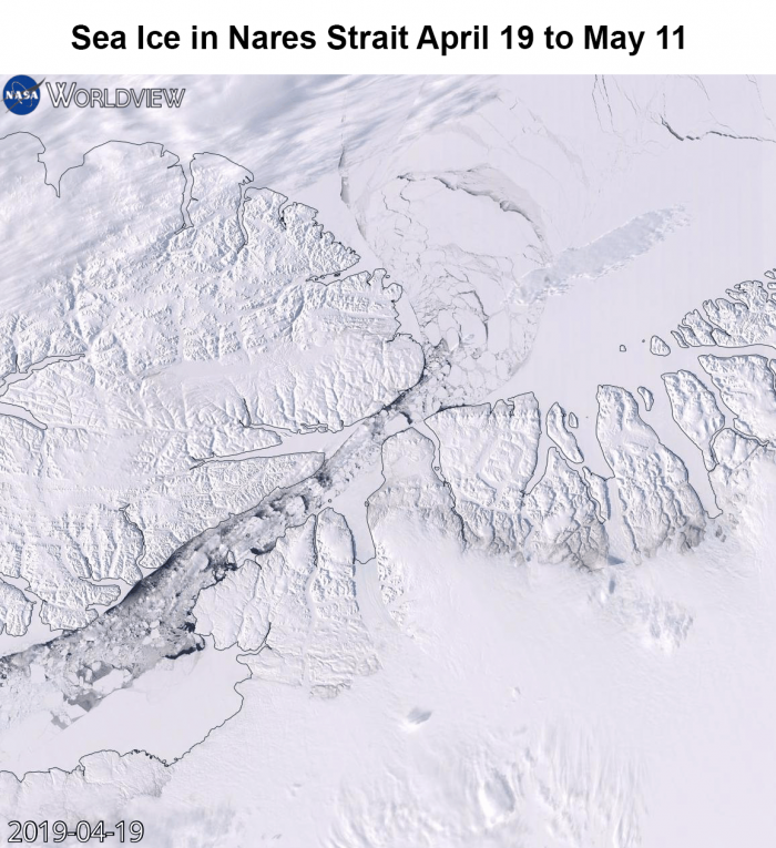 Figure 17. This NASA Worldview (download to view animation) image shows sea ice in the Nares Strait from 19 April to 11 May. A new Worldview functions creates an animation using Aqua Moderate Imaging Spectroradiometer (MODIS) true color composite images. Image courtesy of NASA.