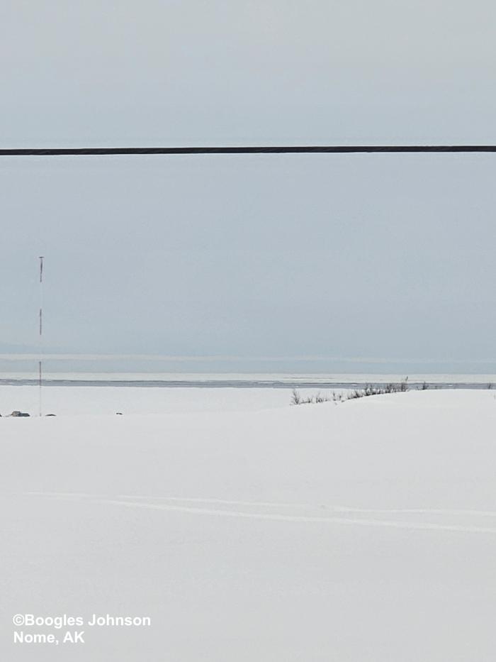 View from the first hill off the coast looking south at the Bering Sea - view 5. Photo courtesy of Boogles Johnson.