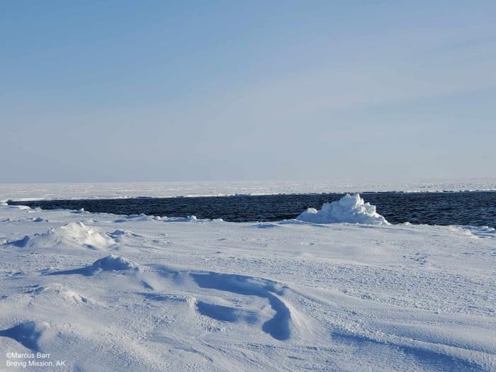 Weather and sea ice conditions between Port Clarence point and the beach west of Brevig about 8 miles - view 1. Photo courtesy of Marcus Barr.