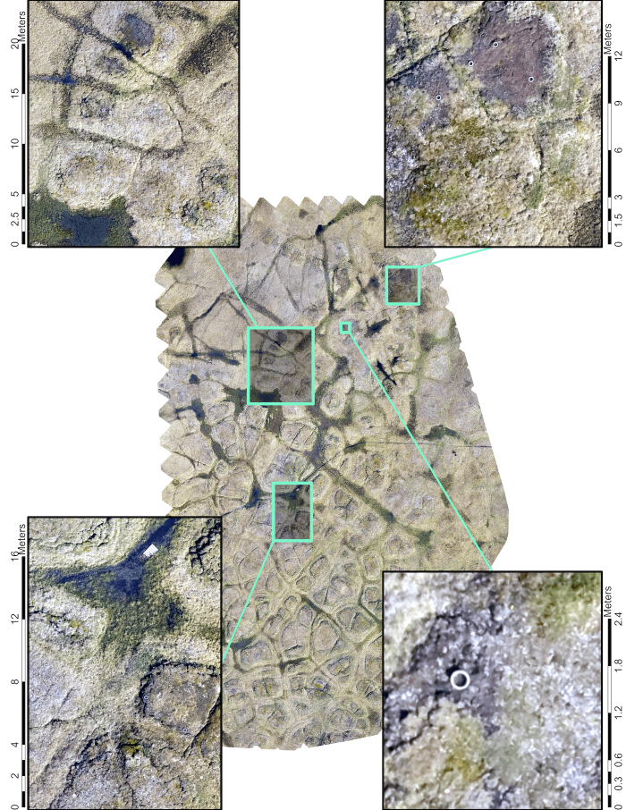 Figure 5. Ultra-high-resolution drone imagery improves our spatial understanding of greenhouse gas emissions. Highlighted regions are thermokarst features in the Barrow Environmental Observatory, which have large emission potentials but are difficult to detect using modern satellite products. Image courtesy of Lunneberg et al., in prep.