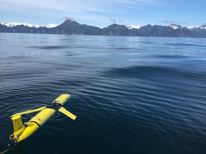 Figure 4. Deployment of AOOS funded autonomous underwater glider in the Arctic for marine mammal acoustic studies. Photo courtesy of AOOS.