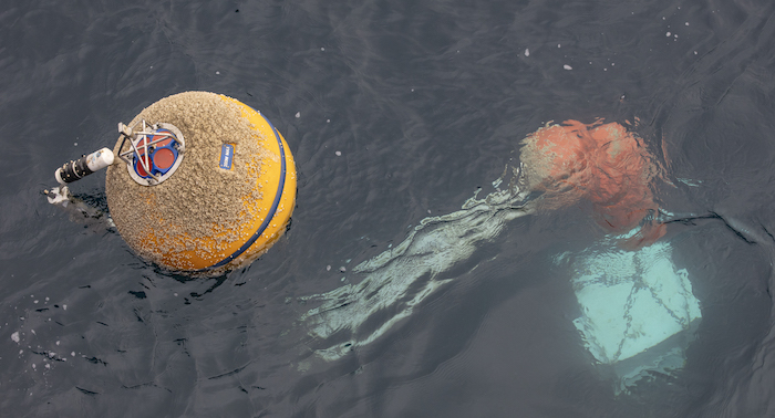 Figure 6. Recovery of a mooring from the Chukchi Sea Ecosystem Observatory showing a yellow buoy with attached acoustic Doppler current profiler, a satellite recovery beacon and a temperature/conductivity/pressure datalogger. Below the surface is a hydrophone, orange floats, and white box of the discrete water sampler, which fills IV bags with water for later laboratory chemical analyses. Photo courtesy of Roger Topp.