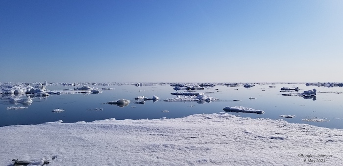 Figure 2. Sea ice and weather conditions in Nome, Alaska on 6 May 2021 courtesy of Sea Ice for Walrus Outlook Observer, Frank (Boogles) Johnson.