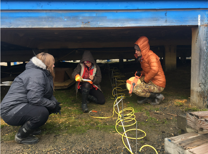 Figure 3. Team members conducting electrical resistivity tomography (ERT) at different locations within Utqiaġvik, Alaska. Photo courtesy of Luis Felipe Rosado Murillo.