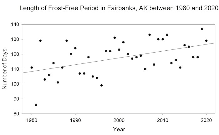 Figure 4. Length of frost-free period in Fairbanks, Alaska. Frost-free period is considered the number of days in a continuous, unbroken period where all daily minimum temperatures are above 0 °C. The frost-free period has increased by 18% between 1980 and 2020. Image courtesy of Melissa Ward Jones.