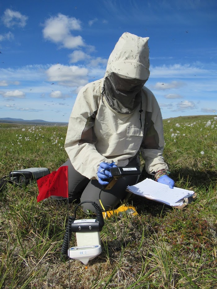 Figure 2. Kinkela Vicich, SEDC technician, recording soil properties (moisture and temperature) for a remote access MS project on examining the importance of moisture on the greenness of mosses and how that influences landscape greenness indices. Photo courtesy of Amanda Young.