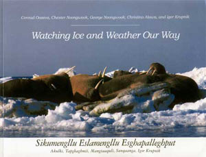 Watching Ice and Weather Our Way