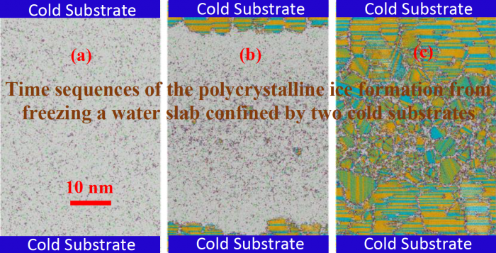 Time sequences of the polycrystalline ice formation from freezing a water slab confined by two cold substrates