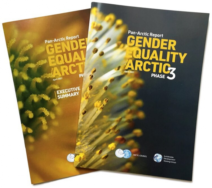 Figure 1. The Pan-Arctic Report: Gender Equality in the Arctic.