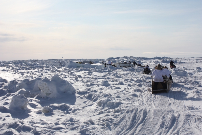 Whaling crew establishing a camp on the shorefast ice during spring whaling at Barrow, Alaska. Photo courtesy of Matthew Druckenmiller.