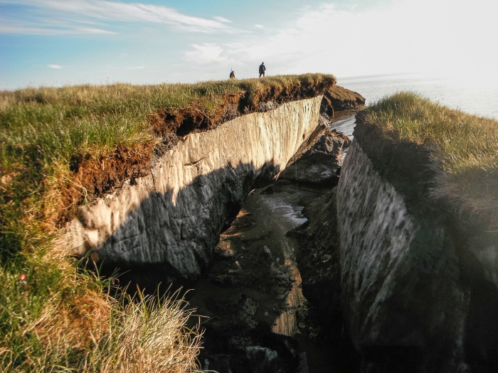 Coastal erosion reveals the extent of ice-rich permafrost underlying the active layer on the Arctic Coastal Plain in the Teshekpuk Lake Special Area of the National Petroleum Reserve - Alaska. Photo courtesy of Brandt Meixell, USGS.