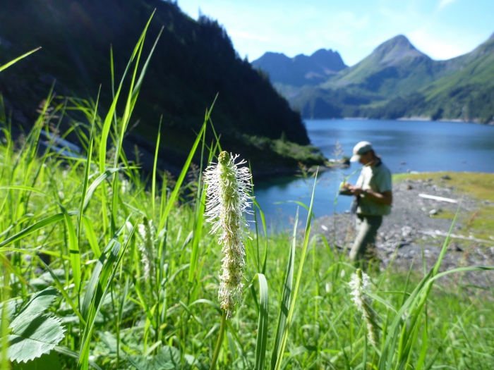 ABR has worked with the National Park Service since 2002 to map local-scale ecosystems and soils on 10 units within the national park system in Alaska. Using ecological land survey methods, we have mapped soils on nearly 32 million acres over a 12-year period. Photo courtesy of ABR, Inc.