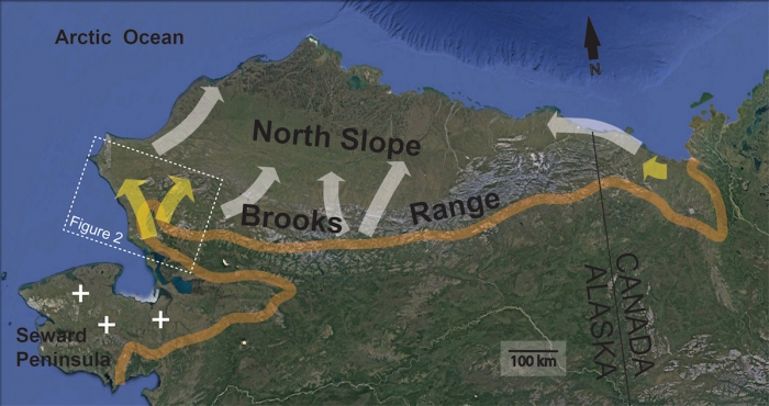 Figure 1. Map of recent beaver colonization in Arctic tundra of Alaska and northwestern Canada. Orange line approximates treeline, which was historically considered to be the range limit of beavers. Yellow arrows denote known beaver colonization routes since 1999. White arrows speculate future colonization routes and the plus signs indicate observed beaver ponds beyond treeline. Image courtesy of Tape et al.