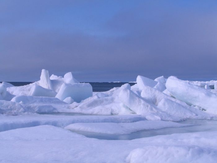 A photo from Utqiagvik on the shore-fast ice, looking out from the edge of the fast ice to the flaw lead (open water), in June 2016. One of the TA stations is near Utqiagvik. Often the edge of the shore-fast ice in that area is broken into blocks (deformed ice) due to the wind and the ocean current flowing along the flaw lead (known as the Alaskan Coastal Current). Photo by Sinéad Farrell