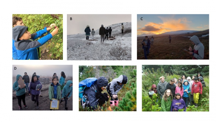 Figure 2. Youth participating in data collection in (A) Fairbanks, (B) Anaktuvuk Pass, (C) Scammon Bay, (D) Bethel, (E) Sitka, and (F) Nanwalek. Photo collection courtesy of the Winterberry Project.