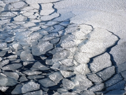 Sea ice photo by Lollie Garay (PolarTREC 2007/2008)