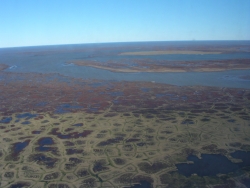 Tundra polygons formed by permafrost freeze-thaw cycles. Photo by Leslie Pierce (PolarTREC 2005)