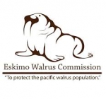 Eskimo Walrus Commission Logo