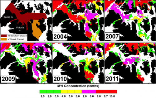 Figure 1. Spatial distribution of multi-year ice concentration