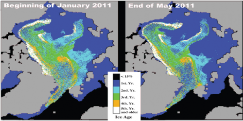 Figure 3. Sea ice concentration anomaly outlook for July 2011. [Tivy]