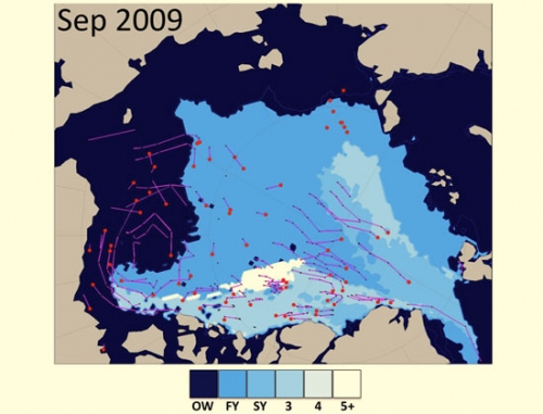  Sea ice age for September 2009 and buoy drift as contributed by I. Rigor.