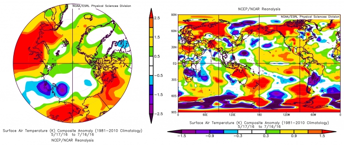 Figure 7. Surface air temperature anomalies (departures from 1981-2010) averaged from mid-May to mid-July in Arctic and global projections. The Arctic air temperature anomaly is similar throughout the lower troposphere (not shown). 