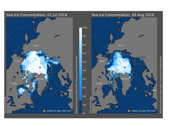 Figure 8. Sea ice concentrations on July 1, 2018 (left) and August 9, 2018 (right) from passive microwave satellites.  Figure courtesy of the National Snow and Ice Data Center.