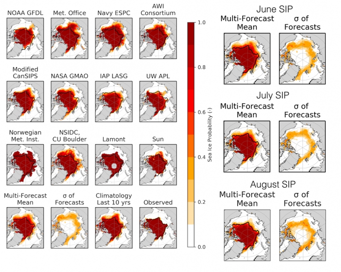 Figure 4d-1. June 2019 forecast of September SIP, the ensemble mean from the individual models and the standard deviation (σ) of the individual model forecasts. Black contour shows the mean September ice edge. Figure made by Cecilia Bitz and Ed Blanchard-Wrigglesworth.