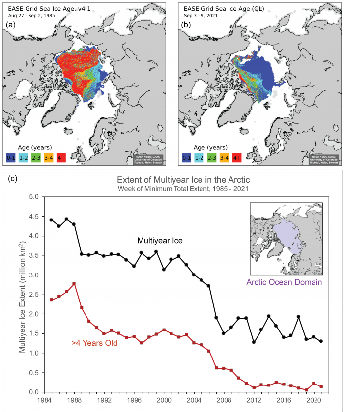 Figure 8. Sea-ice age distribution for the week before the sea-ice extent minimum in (a) 1985 and (b) 2021. Panel (c) is the timeseries for 1984–2021 of the extent of multi-year (survived at least one summer melt season) ice (black) and ice &gt;4 years old (red) within the &quot;Arctic Ocean Domain&quot; (purple region in inset map). Data from Tschudi et al. (2019a,b); image from the Arctic Report Card 2021 (Meier et al. 2021)