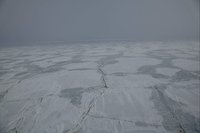 Bering Sea Ice