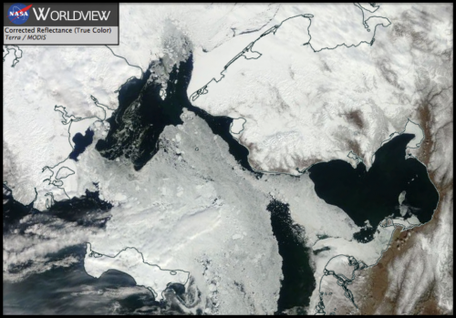 21 April 2016 Terra / MODIS image showing mostly open water across the Bering Strait.