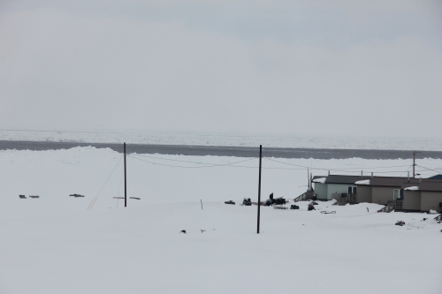 28 April 2014, after warm temperatures on 27 April and strong south winds on 28 April, multiple leads developed through the shorefast ice north of Savoonga. Hunters landed a large whale on the afternoon of the 27th, but reports of south winds and rough, shallow water may be making conditions difficult for hunters on the south side of the island.