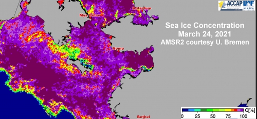 Sea ice concentration