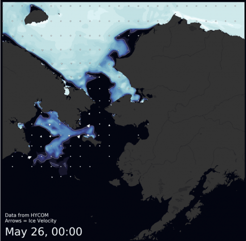 Visit the SIWO Facebook page @seaiceforwalrus to view this animation.