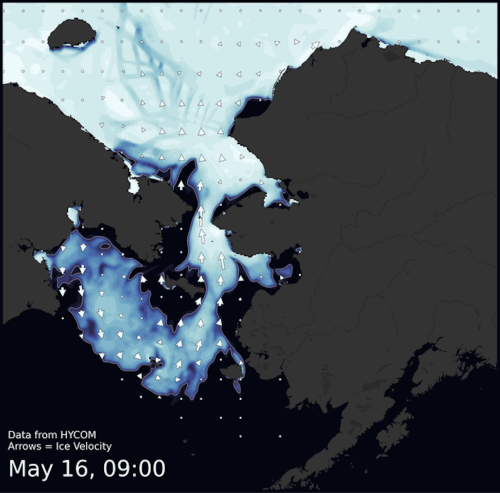 Visit the SIWO Facebook page @seaiceforwalrus to view this animation for 10–18 May 2023.