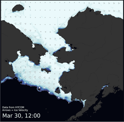 Visit the SIWO Facebook page @seaiceforwalrus to view this animation.