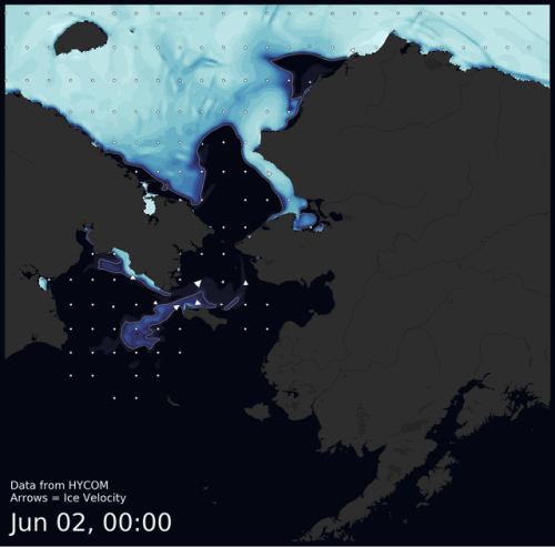 Visit the SIWO Facebook page @seaiceforwalrus to view this animation.